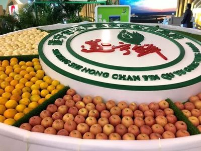 點贊!&ldquo;遂寧鮮&rdquo;成為全國首例&ldquo;地域+產品特性&rdquo;綜合型農產品公用品牌